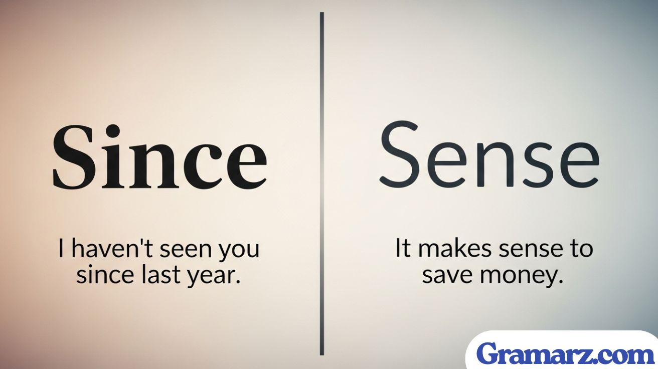 Since vs Sense: Understanding When to Use Each Word