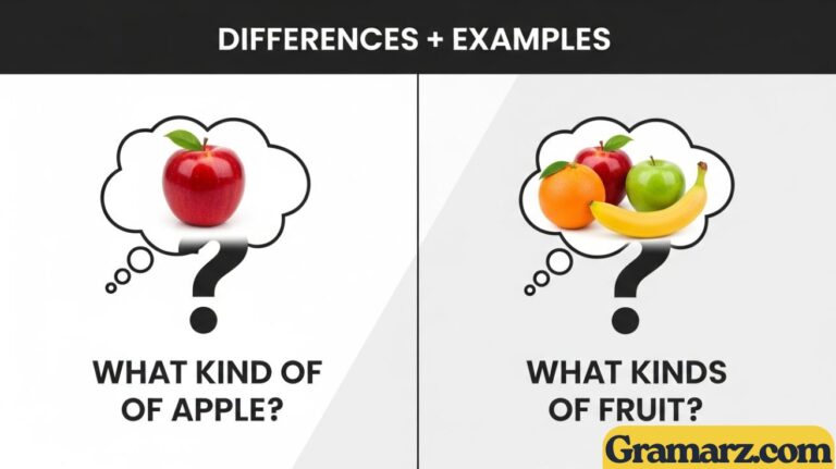 What Kind of vs. What Kinds of – Differences + Examples