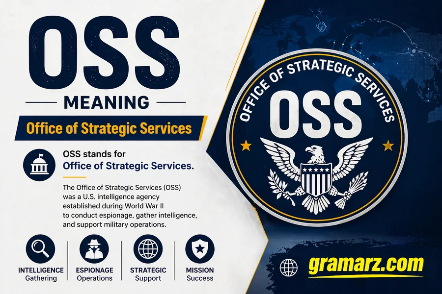 Oss meaning - Office of Strategic Services