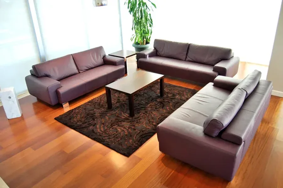 Leather Sofas