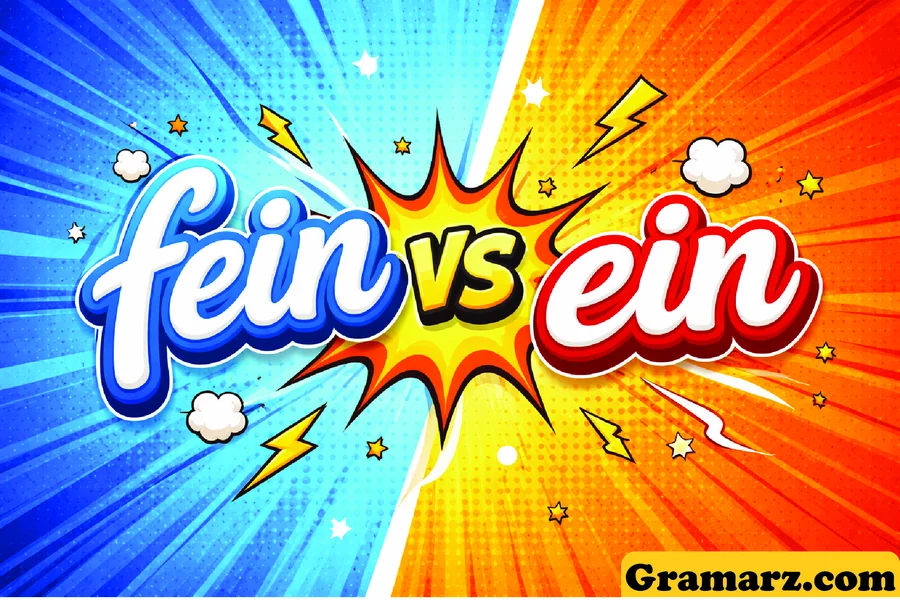 fein vs ein