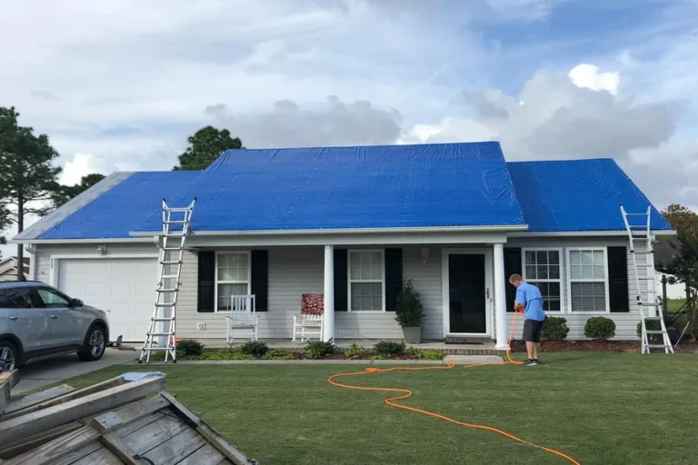 Blue Tarps