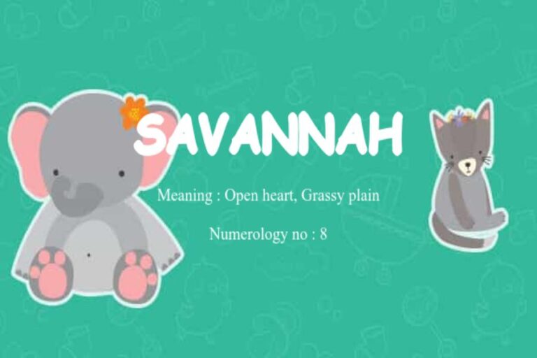 Meaning of the Name Savannah