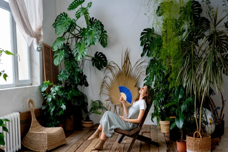 Indoor Garden